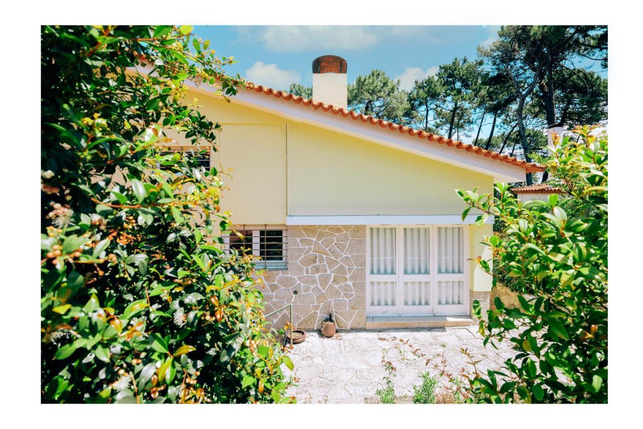 Regina Surf Houses - Cabedelo Beach Viana do Castelo Dış mekan fotoğraf